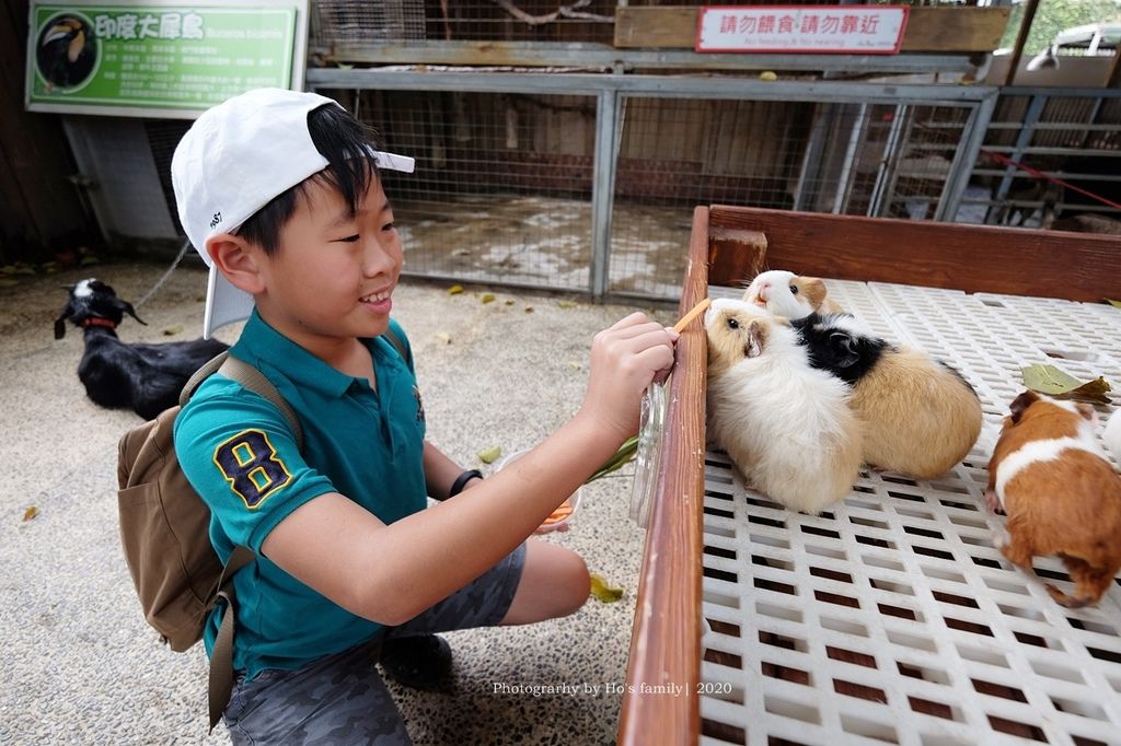 【高雄淨園農場】沙坑遊戲區、帳篷野餐新亮點！餵小動物、看飛機、坐小火車、烤肉，豐富親子農場景點一日遊43.JPG