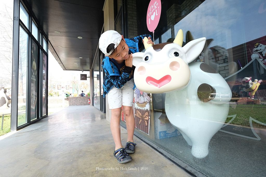 【雲林親子景點】千巧谷牛樂園牧場～免門票親子農場進距離親近餵乳牛、玩沙27.JPG