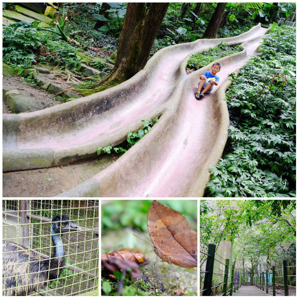 【南投親子景點】鳳凰谷鳥園生態園區～銅板價生態園區森呼吸！全台最長森林溜滑梯、春賞螢夏賞蝶；；鸚鵡、鳥類近距離接觸.jpg