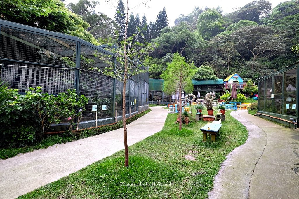 【新竹新埔親子景點】森林鳥花園～森林溜滑梯、戲水池玩水、沙坑玩沙、鳥園小動物、親子餐廳，親子一日遊景點推薦7.JPG