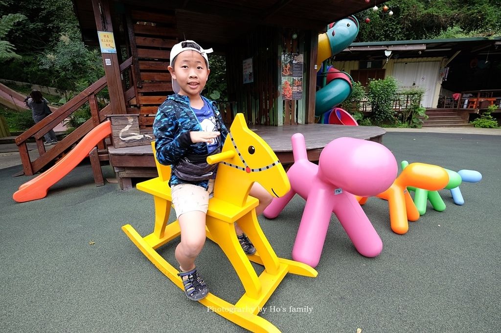 【新竹新埔親子景點】森林鳥花園～森林溜滑梯、戲水池玩水、沙坑玩沙、鳥園小動物、親子餐廳，親子一日遊景點推薦18.JPG