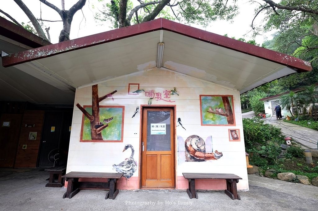 【新竹新埔親子景點】森林鳥花園～森林溜滑梯、戲水池玩水、沙坑玩沙、鳥園小動物、親子餐廳，親子一日遊景點推薦41.JPG