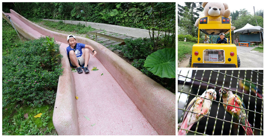 【新竹新埔親子景點】森林鳥花園～森林溜滑梯、戲水池玩水、沙坑玩沙、鳥園小動物、親子餐廳，親子一日遊景點推薦fb.jpg