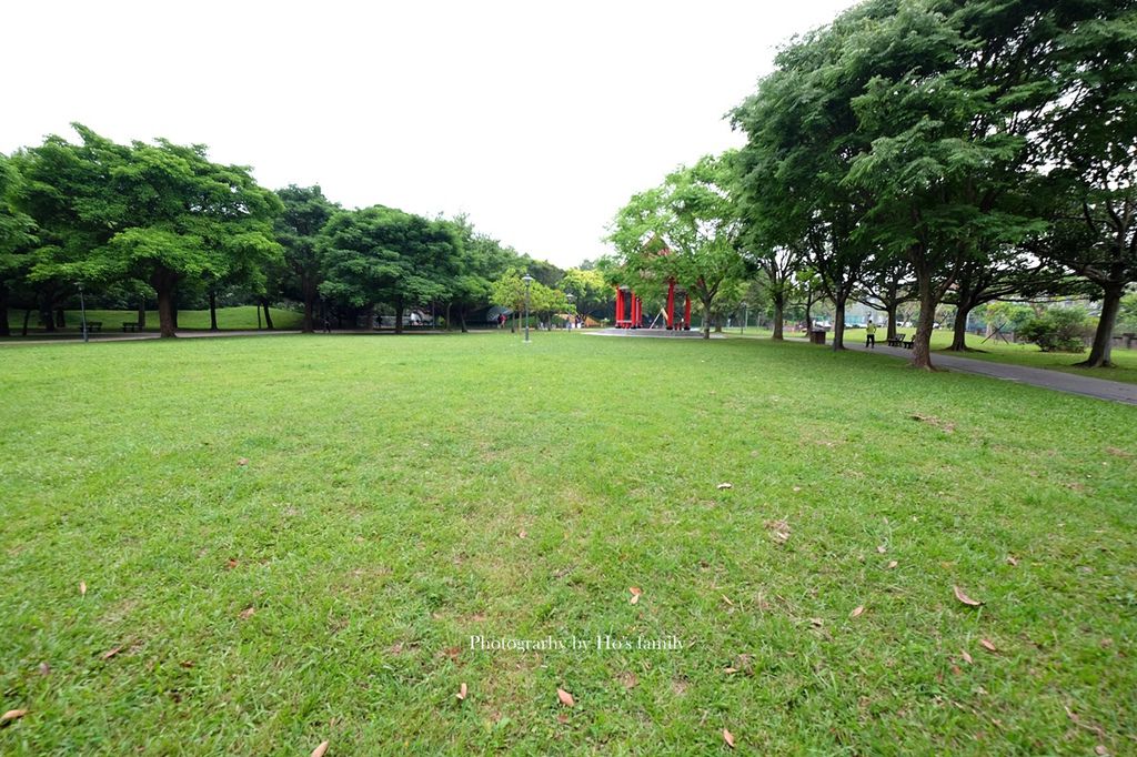 【桃園大溪親子景點】大溪埔頂公園～森林遊戲場滾輪溜滑梯免費玩！高空溜索、樹屋，5大遊戲區野餐玩樂3.JPG