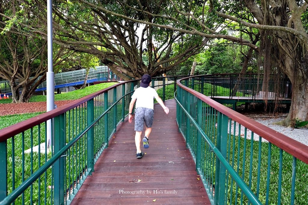 【桃園大溪親子景點】大溪埔頂公園～森林遊戲場滾輪溜滑梯免費玩！高空溜索、樹屋，5大遊戲區野餐玩樂19.JPG