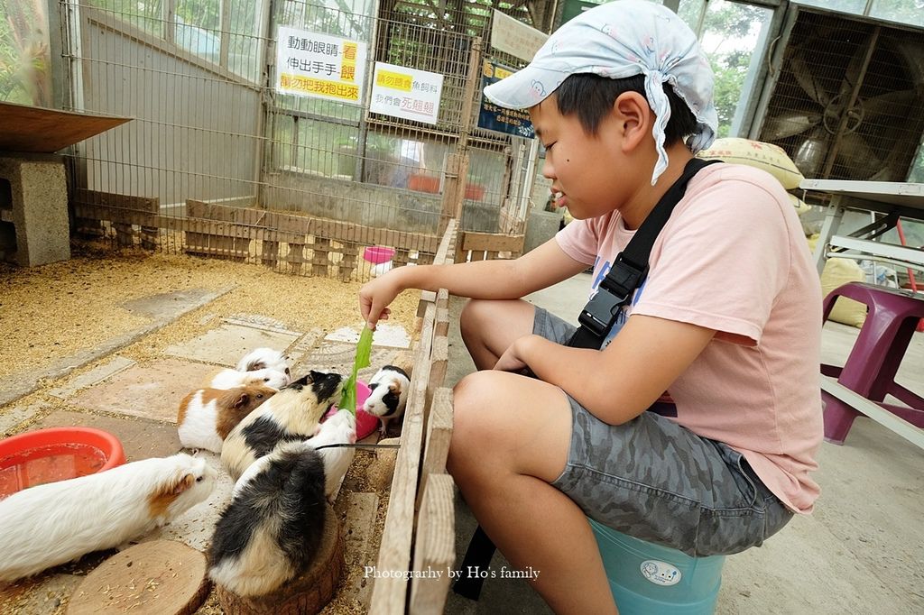 【新北親子景點】五股準園休閒生態農場～餵動物、釣蝦、野餐、披薩DIY、賞螢，城市綠野生態樂園新北親子一日遊13.JPG