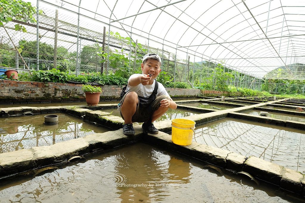 【桃園大溪親子景點】花鹿秘境-李家摸蜆農場～戲水池玩水、餵梅花鹿、兔子、摸蜆、釣蝦、釣魚，用餐31.JPG