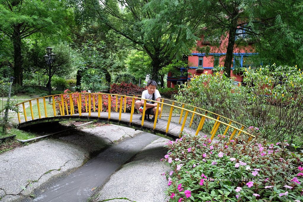 【南投埔里親子景點】台一生態休閒農場(楓樺台一渡假村)～戲水池玩水、沙坑玩沙，水上心型落羽松ig打卡景點30.JPG