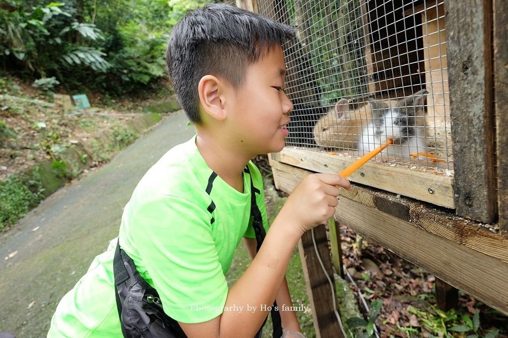 【八里親子餐廳】桃樂絲森林（穀興農場）免門票玩水烤肉玩沙用餐，八里親子一日遊景點29.JPG