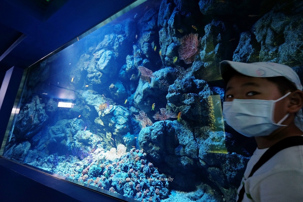 【桃園水族館Xpark】門票預購、開幕時間、飯店住宿、交通19.JPG