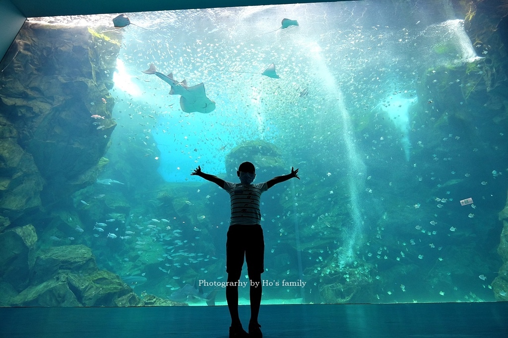 【桃園水族館Xpark】門票預購、開幕時間、飯店住宿、交通20.JPG