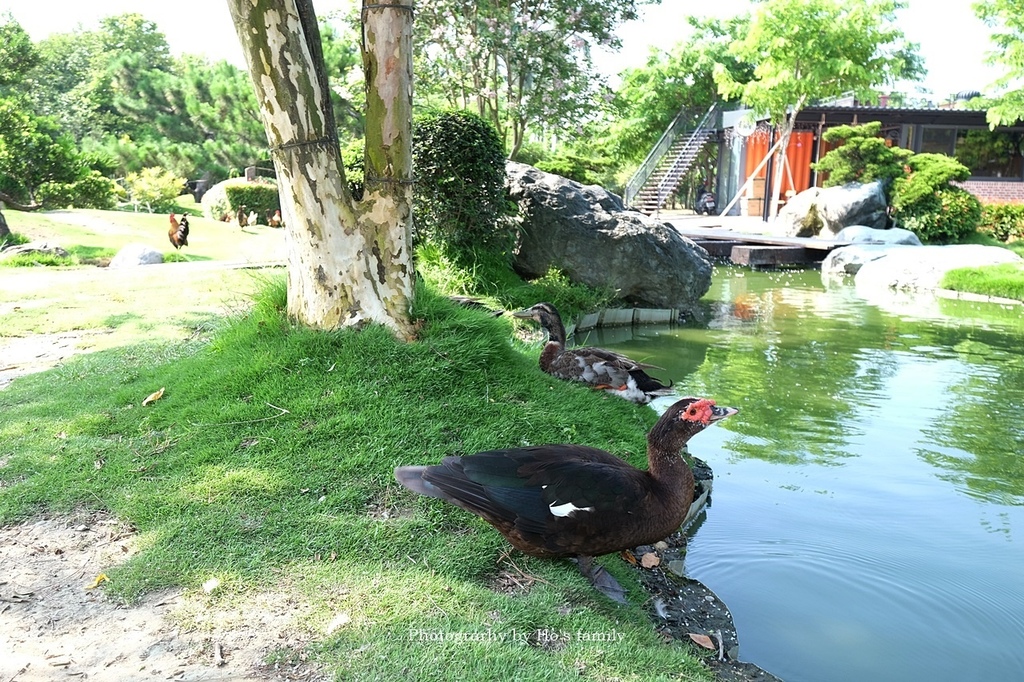 親子景點