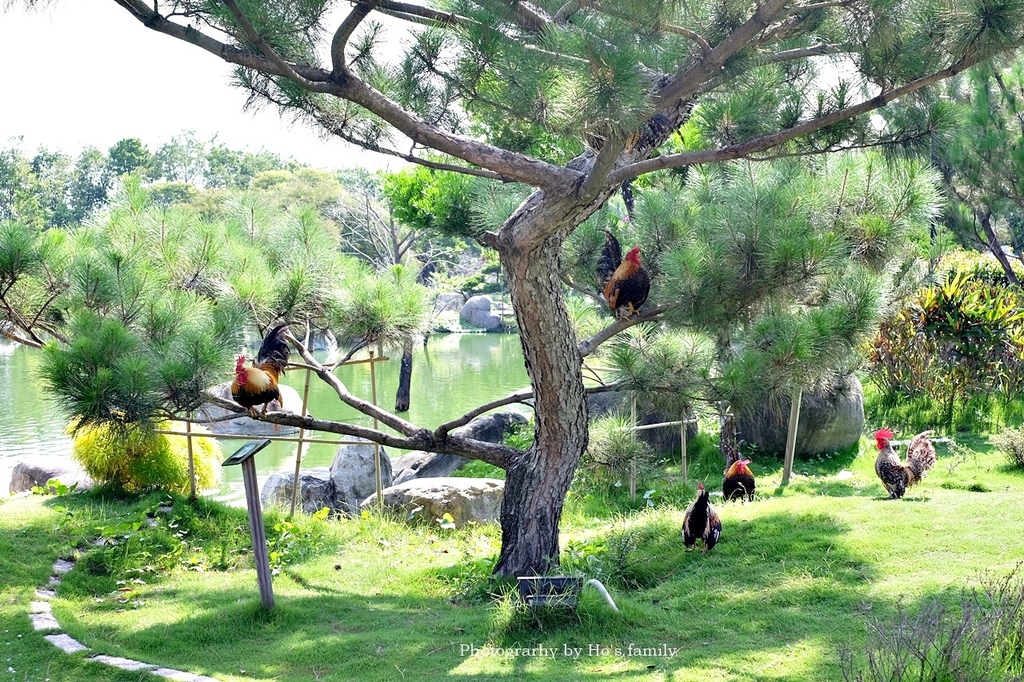 【雲林景點一日遊】澄霖沉香味道森林館～免費親子景點15.JPG