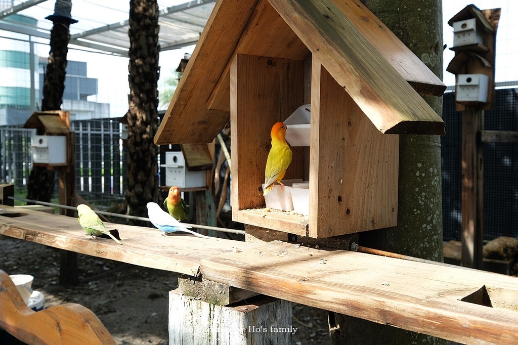 【宜蘭綺麗觀光園區】觀光工廠進化室內親子樂園！餵梅花鹿、卡丁車，宜蘭雨天景點8.JPG