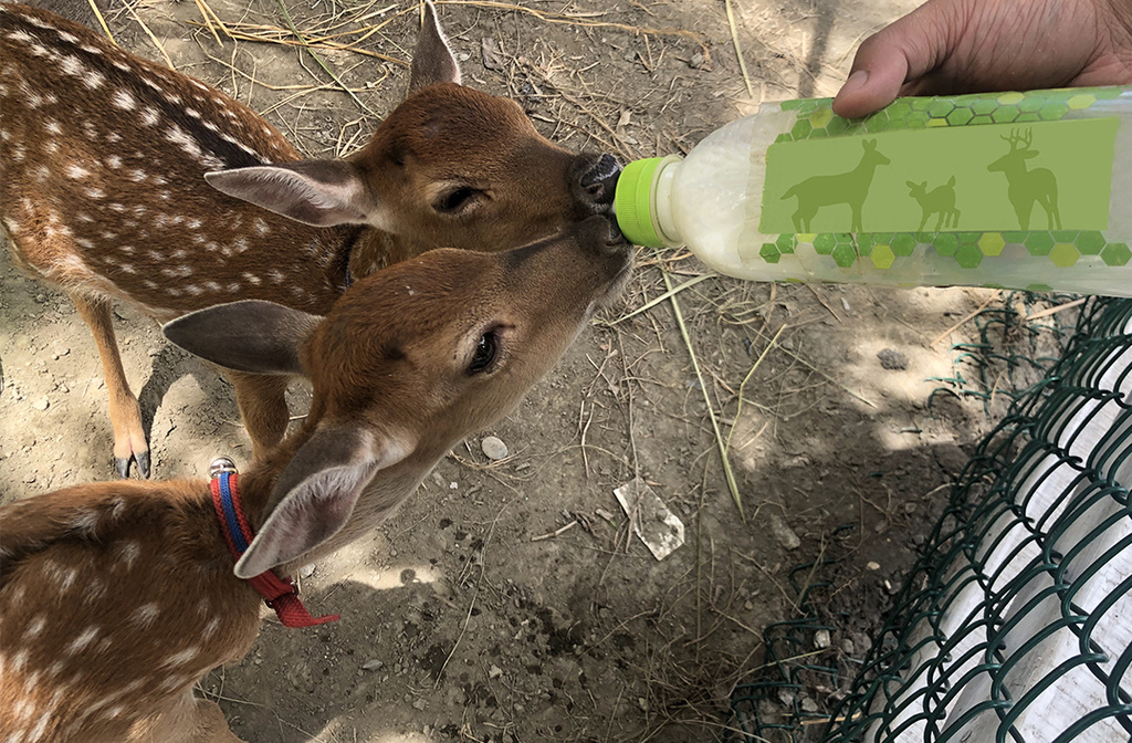 【宜蘭綺麗觀光園區】觀光工廠進化室內親子樂園！餵梅花鹿、卡丁車，宜蘭雨天景點10.jpg