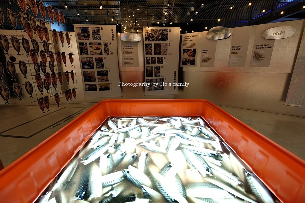 宜蘭室內景點 大鯖魚夢工廠 蘇澳觀光工廠摸魚趣 親子互動體驗 品嚐尚青鯖魚美食 試吃買伴手禮 1 1 3 玩學樂生活