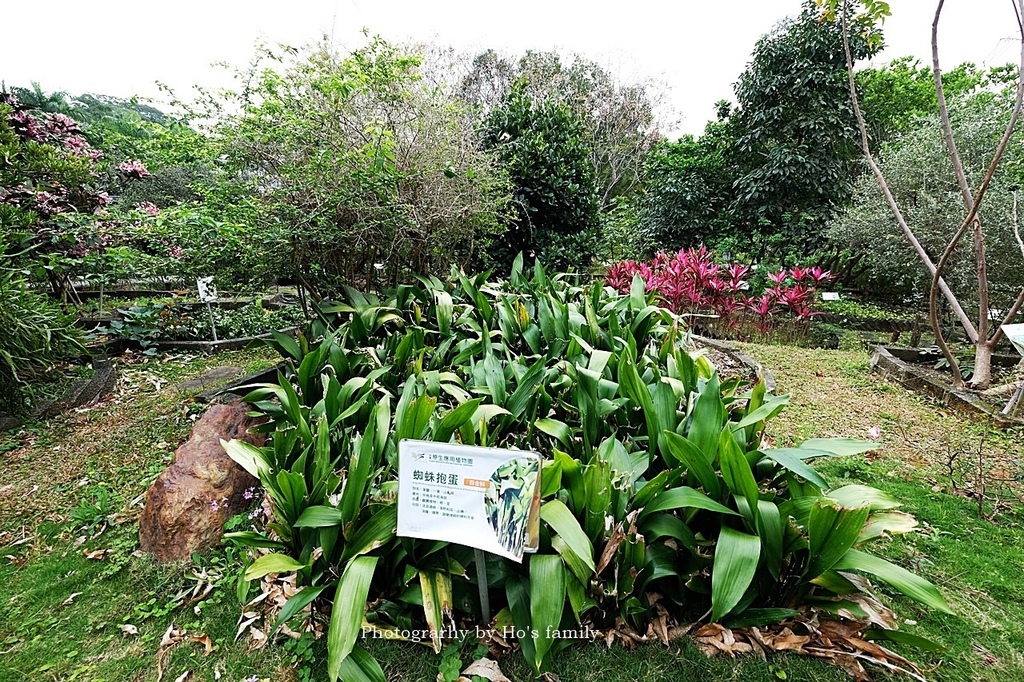 【台東親子景點】原生應用植物園6.JPG