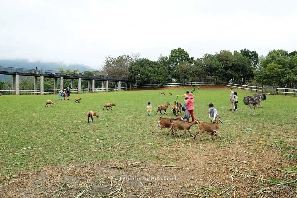 【台東親子景點】原生應用植物園11.JPG