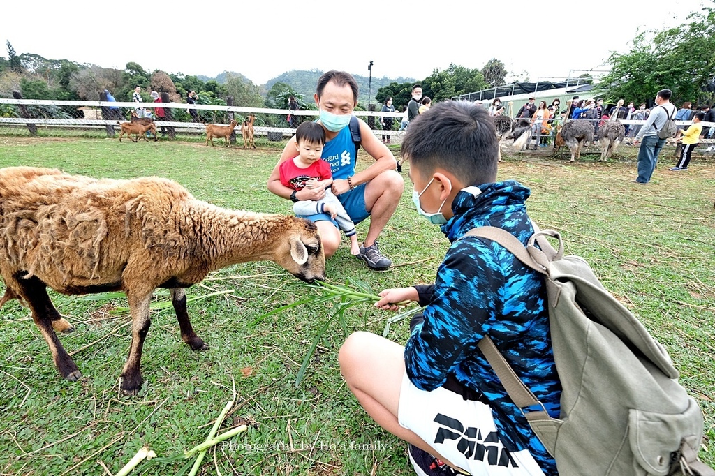 【台東親子景點】原生應用植物園14.JPG