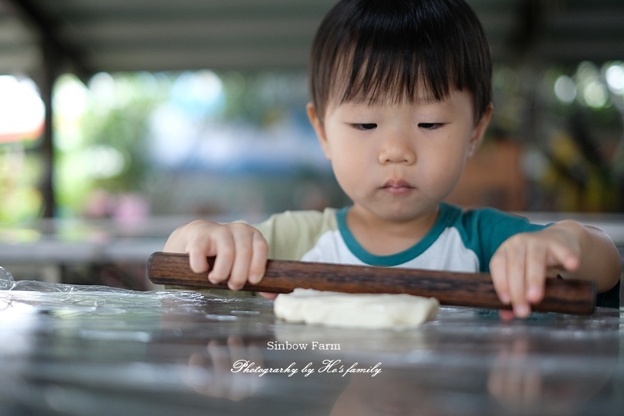 【宜蘭農場體驗親子景點】星寶蔥體驗農場l鄉間小路餵梅花鹿小毛驢拔蔥5.JPG