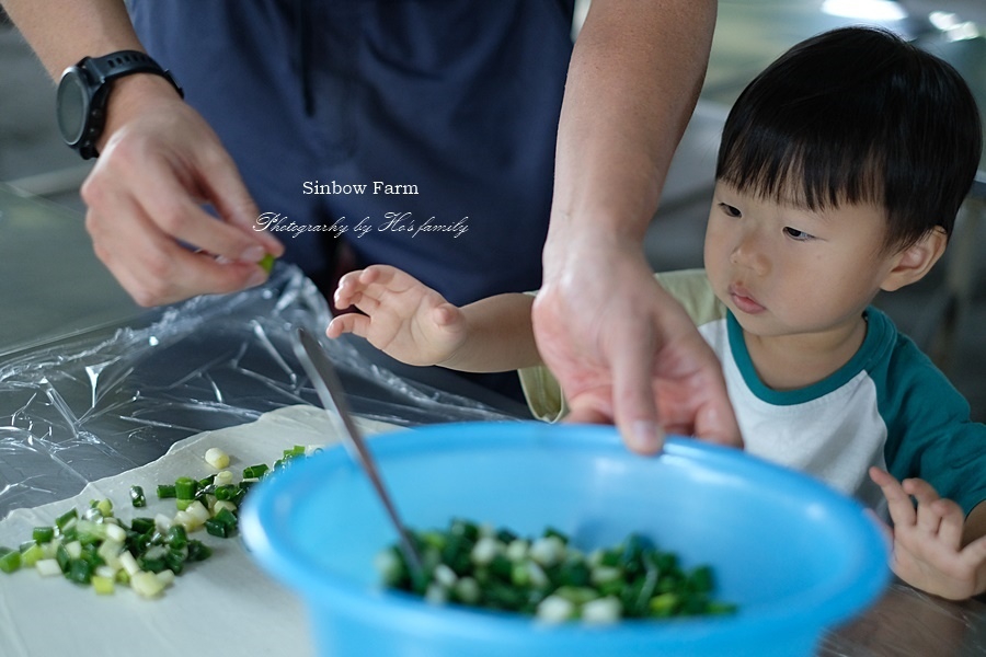 【宜蘭農場體驗親子景點】星寶蔥體驗農場l鄉間小路餵梅花鹿小毛驢拔蔥8.JPG