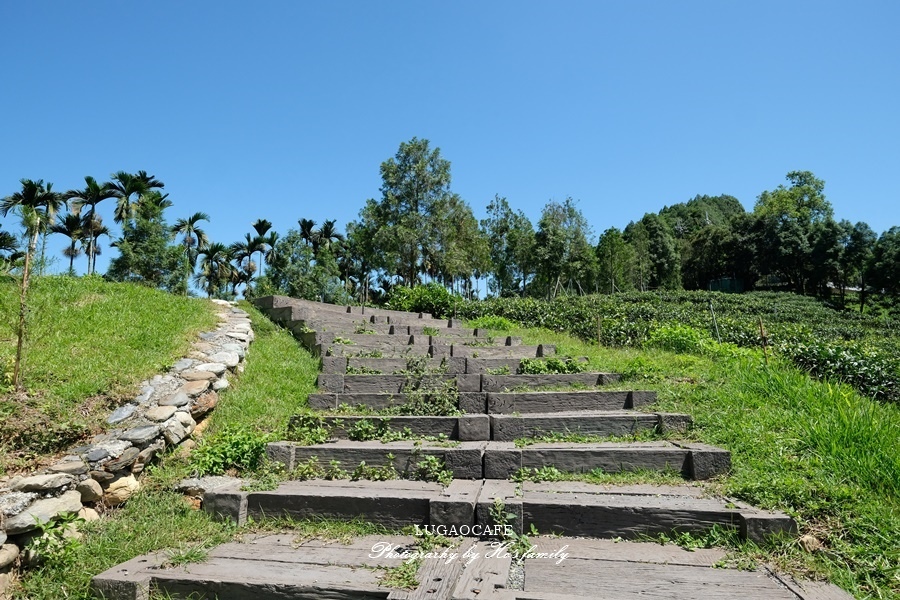 【南投日月潭景點】鹿嵩咖啡莊園門票菜單交通附近景點6.JPG