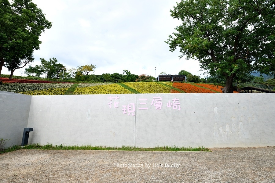 北投社三層崎22021花況、交通、ig拍照打卡景點1.JPG