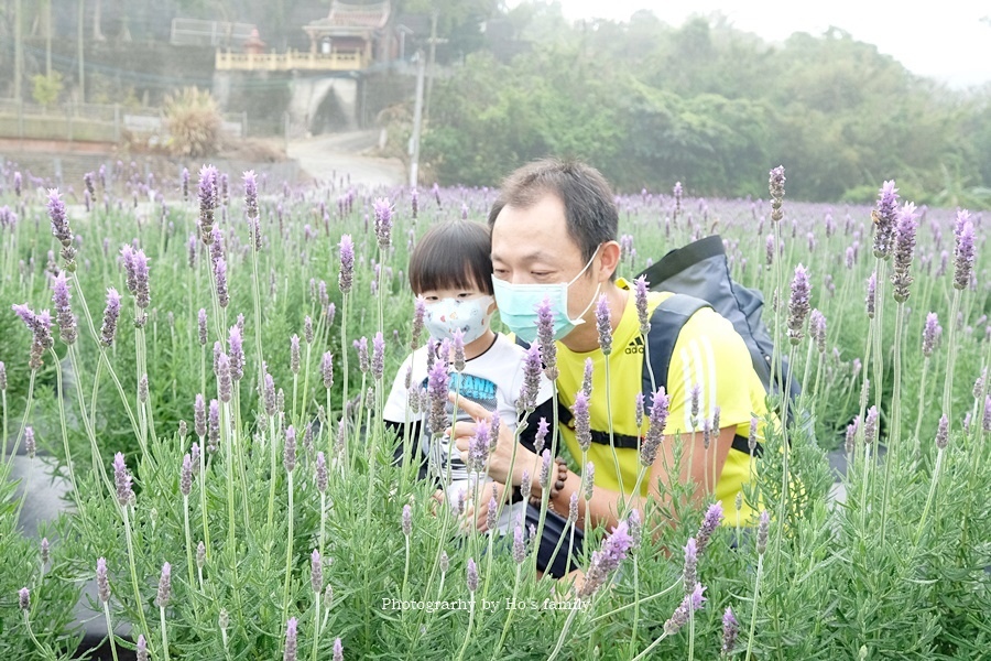 苗栗一日遊景點》葛瑞絲香草田3.JPG