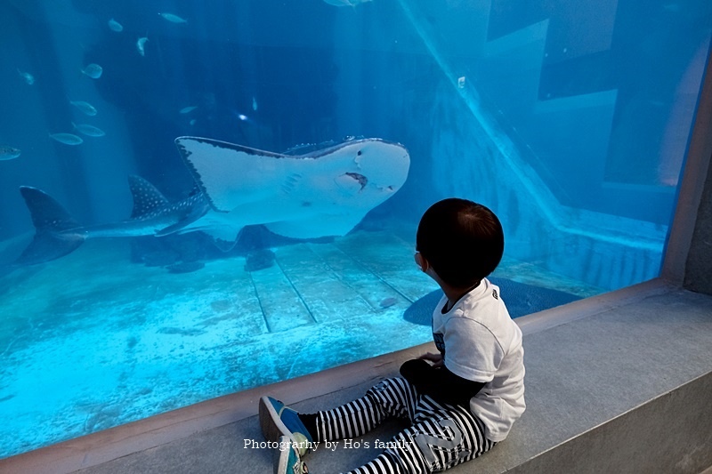 基隆親子景點》潮境智能海洋館i ocean門票、預約、開幕時間、地址電話15.JPG