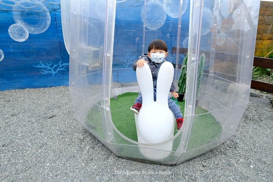 宜蘭礁溪景點》回巢～宜蘭親子農場小型動物園！笑笑羊、象龜、天竺鼠、狐獴近距離接觸餵食22.JPG