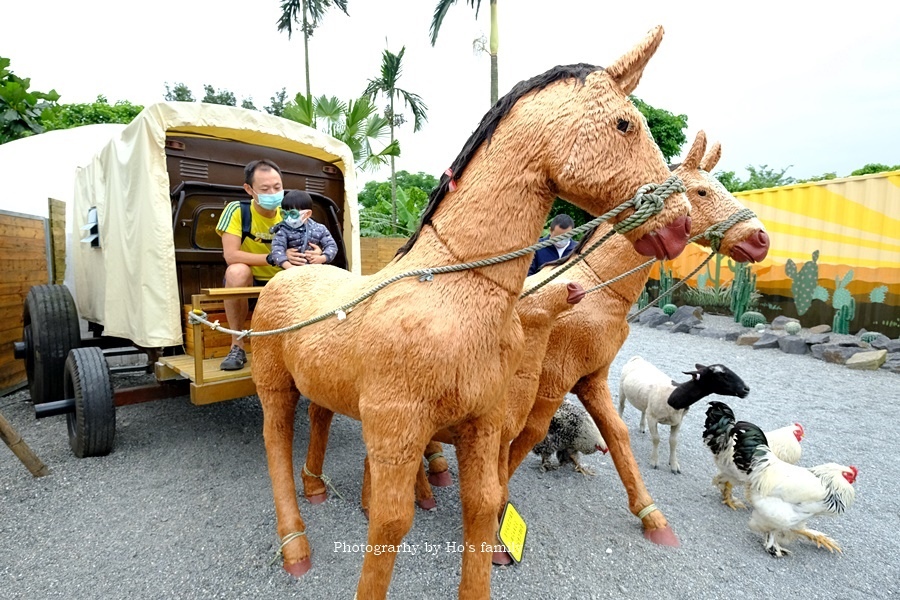 宜蘭礁溪景點》回巢～宜蘭親子農場小型動物園！笑笑羊、象龜、天竺鼠、狐獴近距離接觸餵食23.JPG