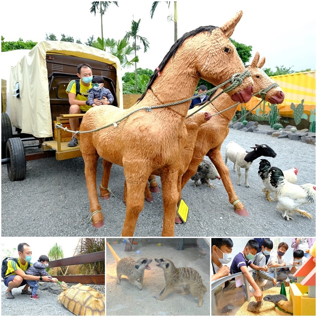 宜蘭礁溪景點》回巢～宜蘭親子農場小型動物園！笑笑羊、象龜、天竺鼠、狐獴近距離接觸餵食fb.jpg