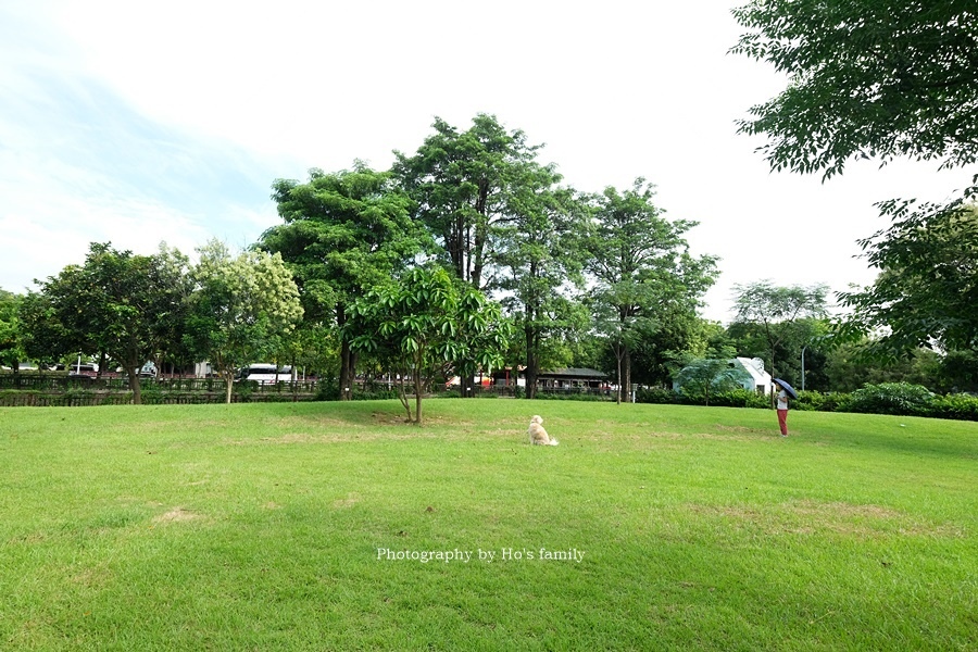 台中特色公園遊戲場》黎新公園34.JPG