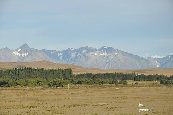 DSC_0915 (4)草原上南阿爾卑斯山.JPG