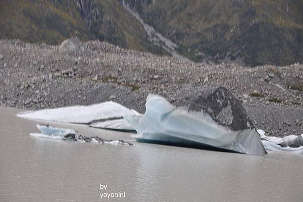 DSC_1034 (4)搭船前所拍浮冰.JPG