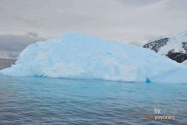 DSC_0306湛藍南極冰.JPG