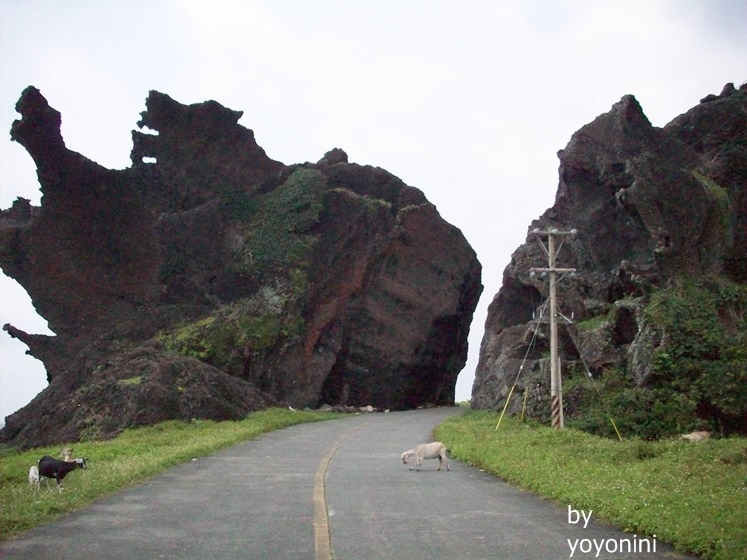 100_2441龍頭岩流血了.JPG