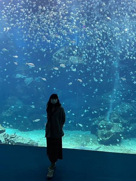 桃園 Xpark水族館 桃園室內景點 親子行程、情侶約會行程