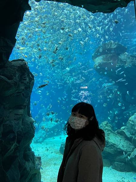 桃園 Xpark水族館 桃園室內景點 親子行程、情侶約會行程