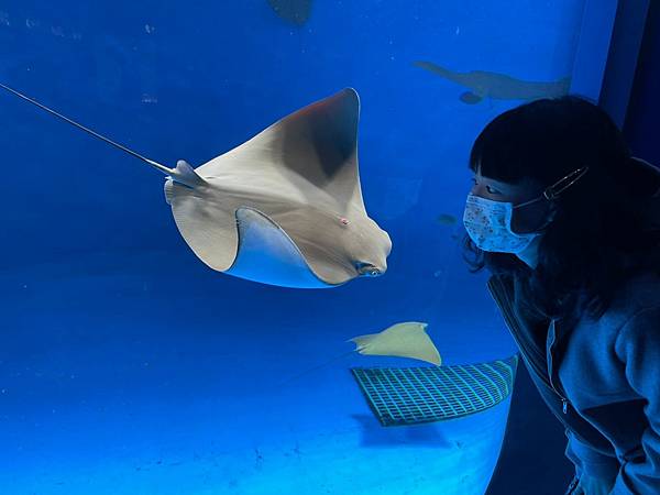 桃園 Xpark水族館 桃園室內景點 親子行程、情侶約會行程