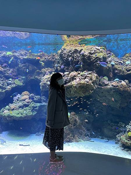 桃園 Xpark水族館 桃園室內景點 親子行程、情侶約會行程