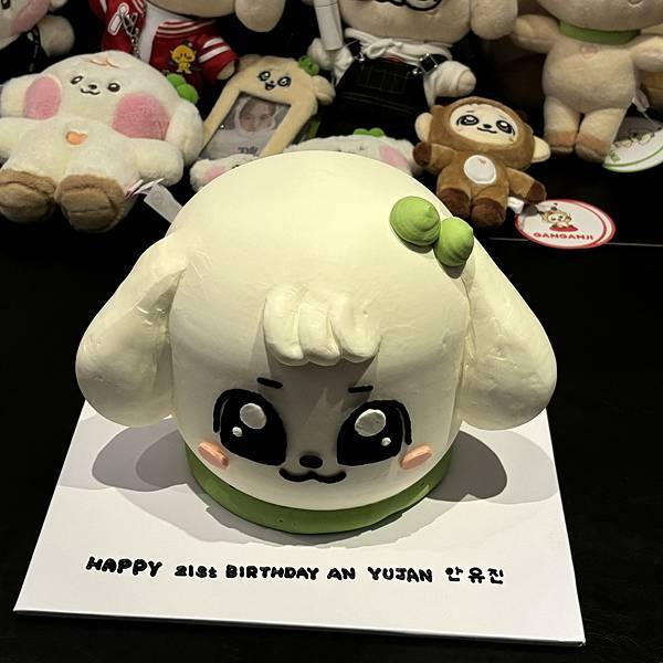 240901 兪你相遇 安兪真生日應援活動全紀錄