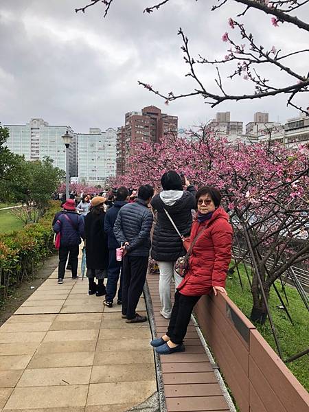 202029 _1_200209_0011.jpg