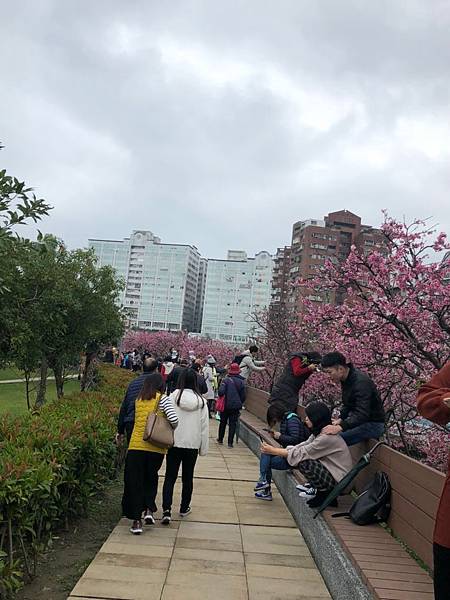 202029 _1_200209_0013.jpg