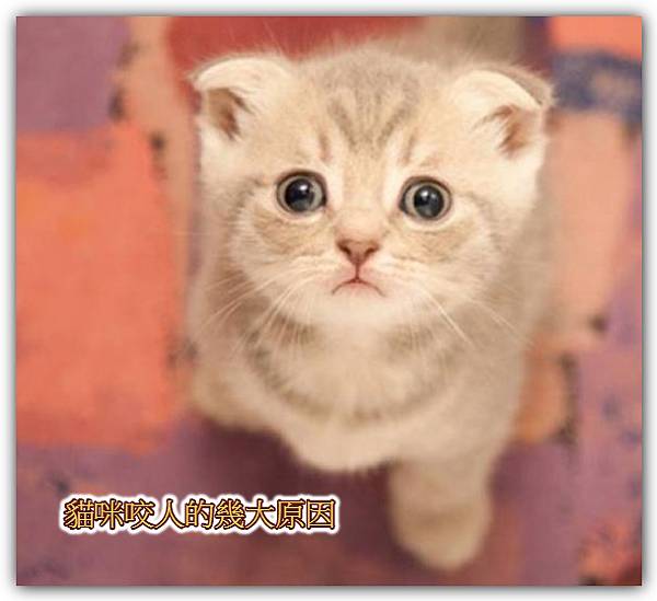 原因.jpg 原因.jpg