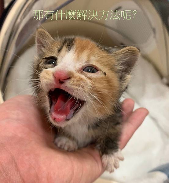 解決方法.jpg 解決方法.jpg