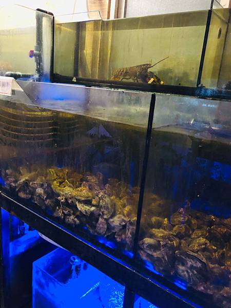 20201023_201026_20.jpg 20201023_201026_20.jpg