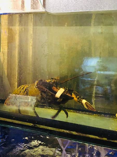 20201023_201026_17.jpg 20201023_201026_17.jpg