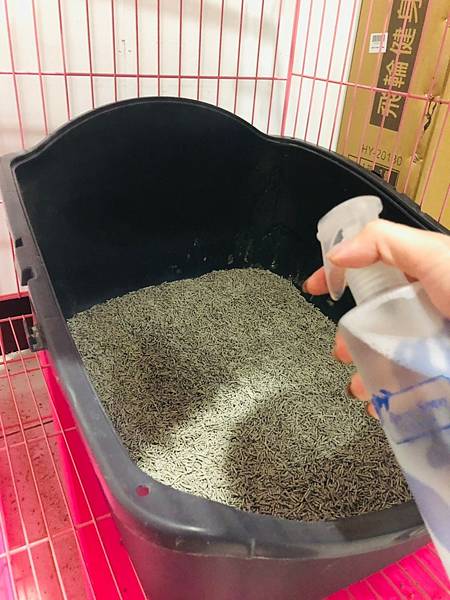 2021131 _1_210201_3.jpg 2021131 _1_210201_3.jpg