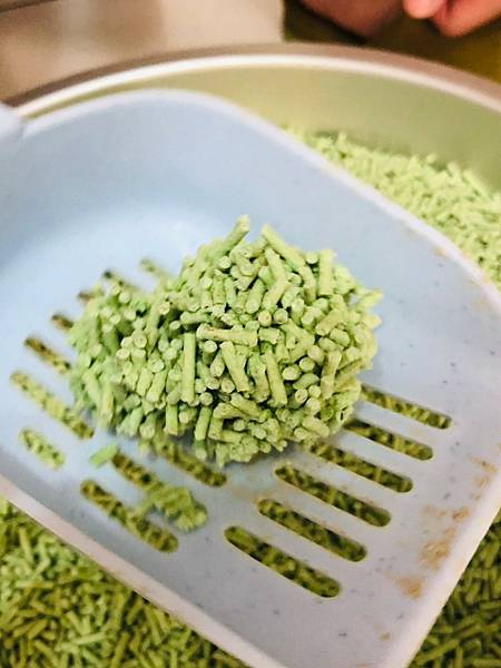 2021222_210222_4.jpg 2021222_210222_4.jpg